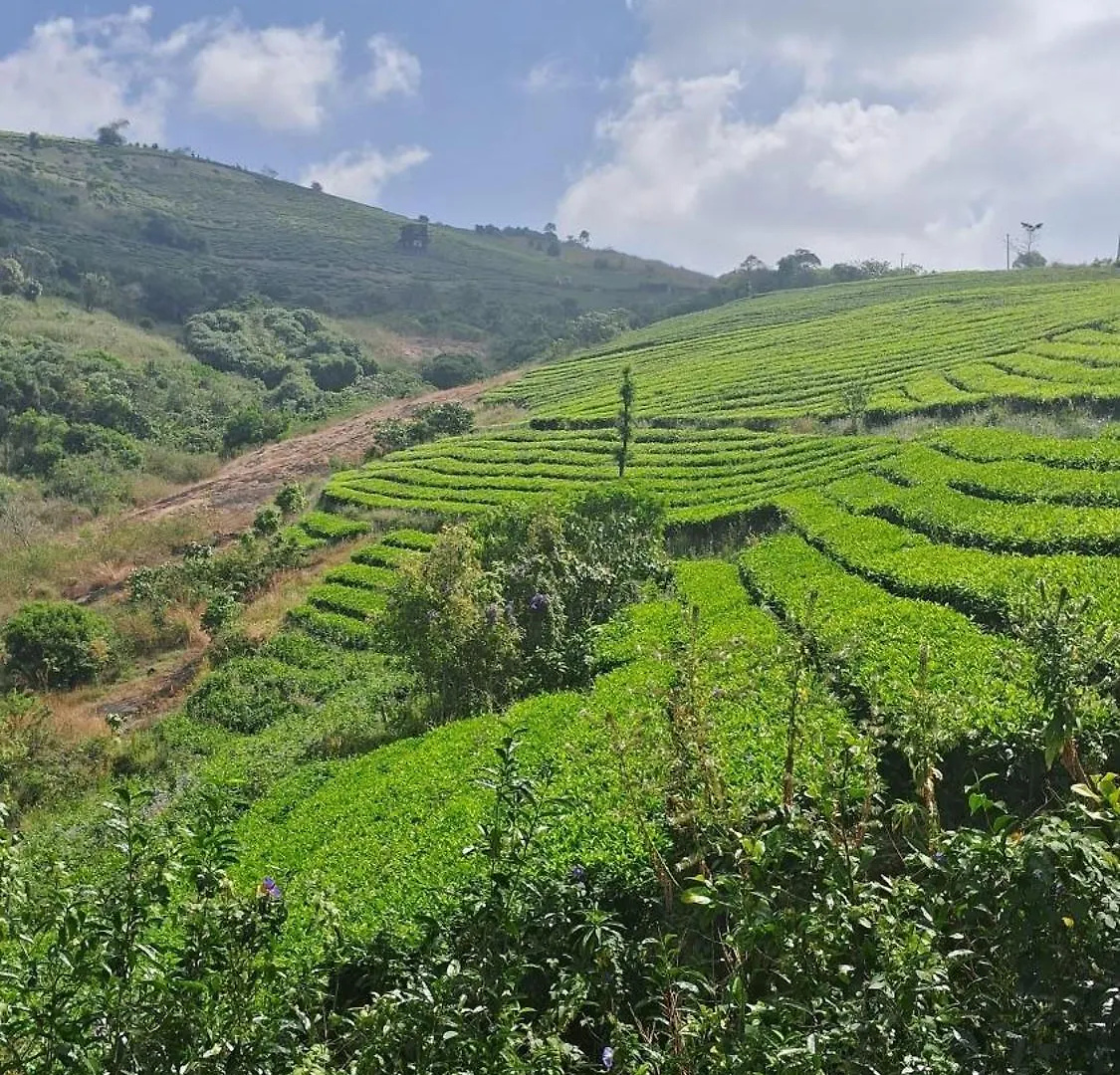 Heritage Farm Kerala Idukki 0*,